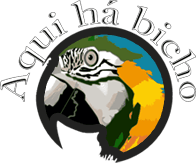 Aqui Há Bicho